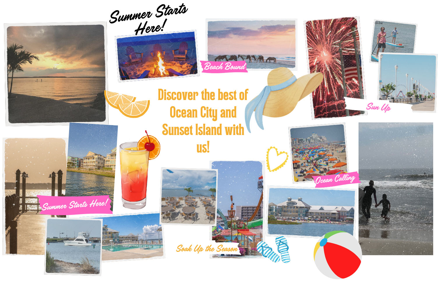 Discover the best of ocean city